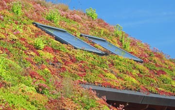 Fishley living roof systems