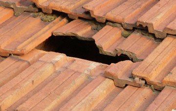 roof repair Fishley