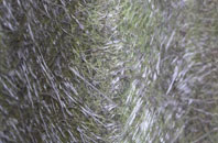 Fishley fibreglass roof work