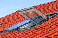 Fishley roof window